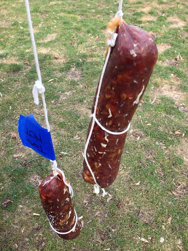 Soupy, One Month Later